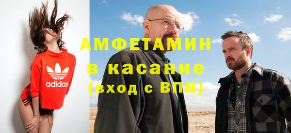 индика Аркадак
