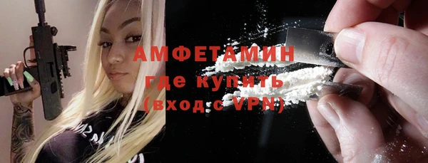 индика Аркадак