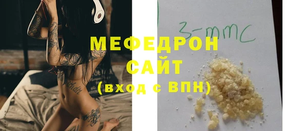 индика Аркадак