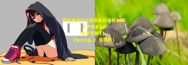 индика Аркадак