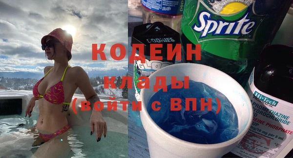индика Аркадак