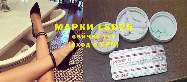 индика Аркадак