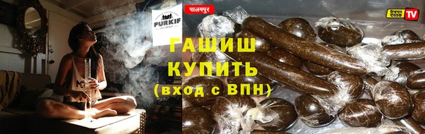 индика Аркадак