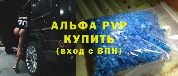 индика Аркадак