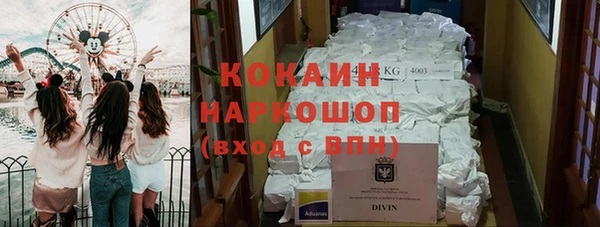 индика Аркадак