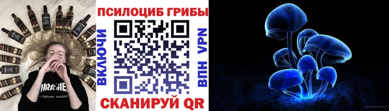 Псилоцибиновые грибы Magic Shrooms  Купить закладки  Стародуб 