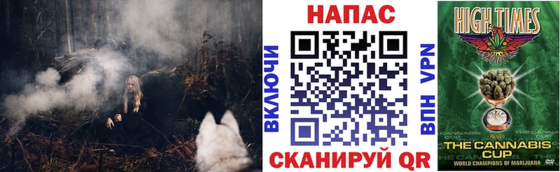 Конопля план  Купить  Стародуб 